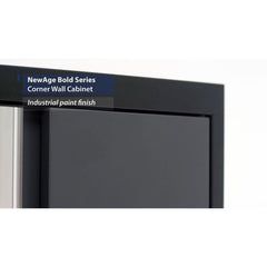 Newage Products Bold 3.0 Series Grey 21" Corner Wall Cabinet