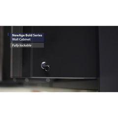 Newage Products Bold 3.0 Series Grey 24" Wall Cabinet